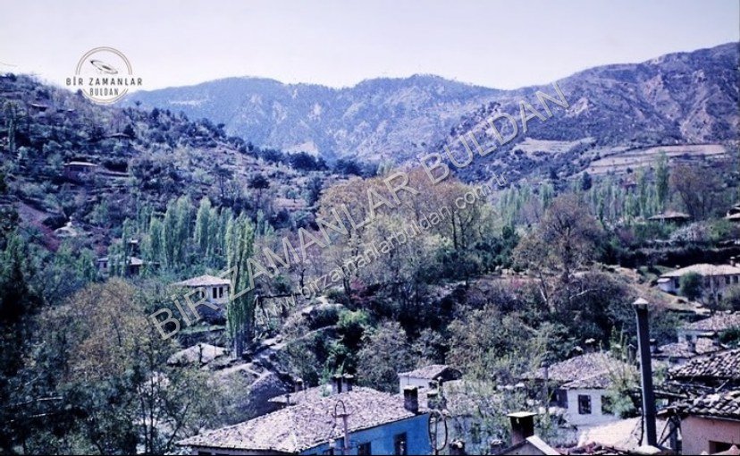 Turfanyüzü-1963