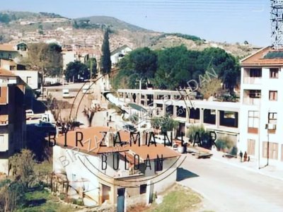 Orijinal