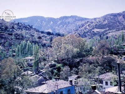 Turfanyüzü-1963