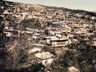 1950 yılı genel görünüm